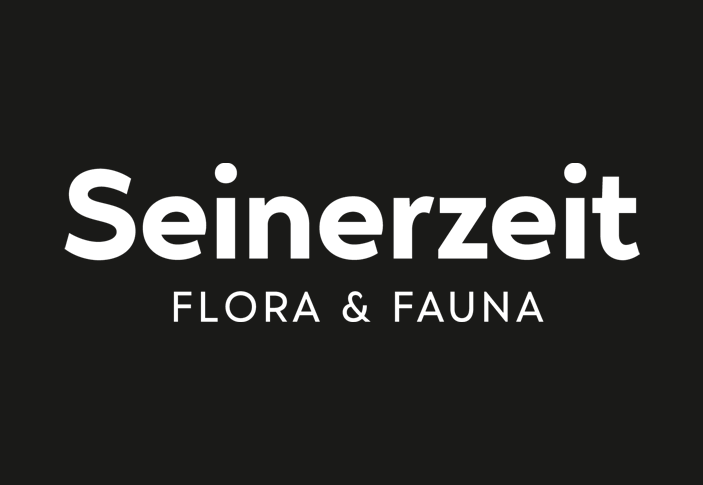 seinerzeit logo