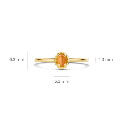 Luxoia - Blush Ring 14k Gelbgold - 1225YCO