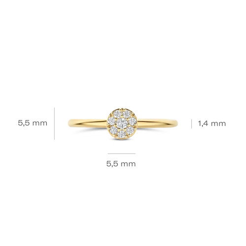 Luxoia - Blush Ring 14k Gelbgold - 1277YZI