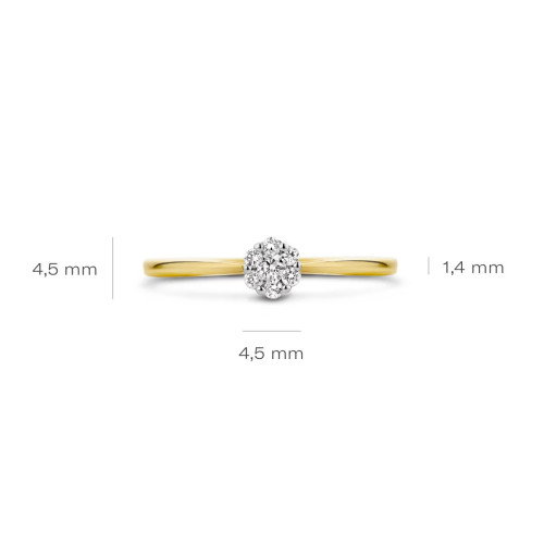 Luxoia - Blush Diamonds Ring 14k Gelbgold und Weissgold - 1610BDI