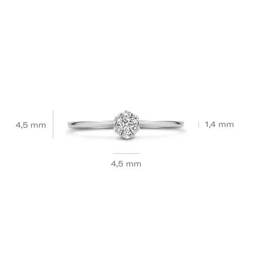 Luxoia - Blush Diamonds Ring 14k Weissgold - 1610WDI
