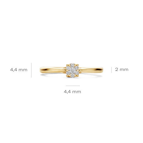 Luxoia - Blush Diamonds Ring 14k Gelbgold - 1665YDI