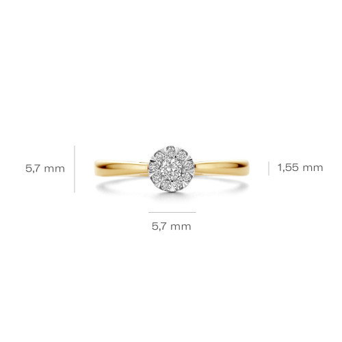 Luxoia - Blush Diamonds Ring 14k Gelbgold und Weissgold - 1677BDI