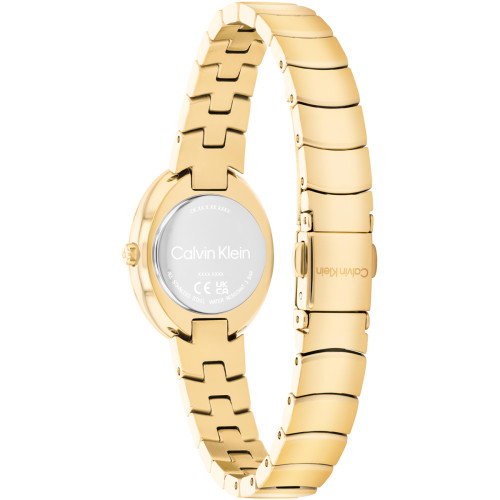 Luxoia - Calvin Klein Twisted Bezel - 25100147