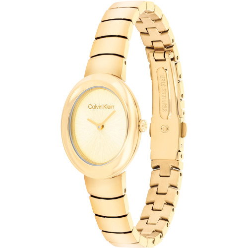 Luxoia - Calvin Klein Twisted Bezel - 25100147