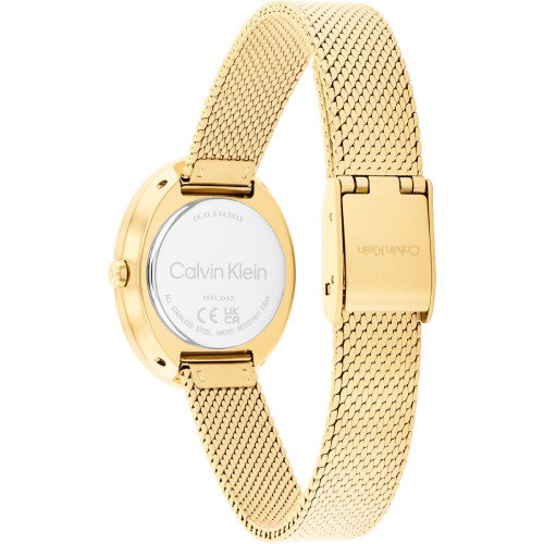 Luxoia - Calvin Klein Twisted Bezel - 25100152