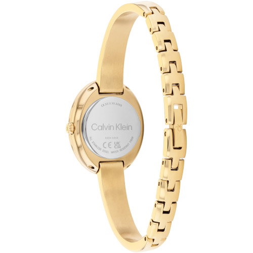 Luxoia - Calvin Klein Twisted Bezel - 25100203
