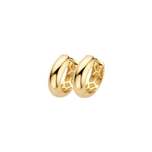 Luxoia - Blush Ohrringe 14k Gelbgold - 7389YGO