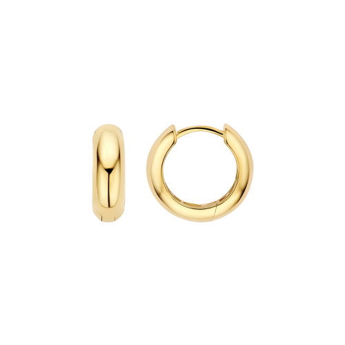 Luxoia - Blush Ohrringe 14k Gelbgold - 7389YGO