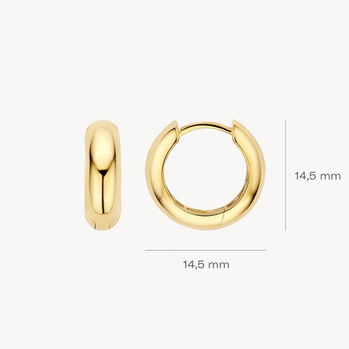 Luxoia - Blush Ohrringe 14k Gelbgold - 7389YGO