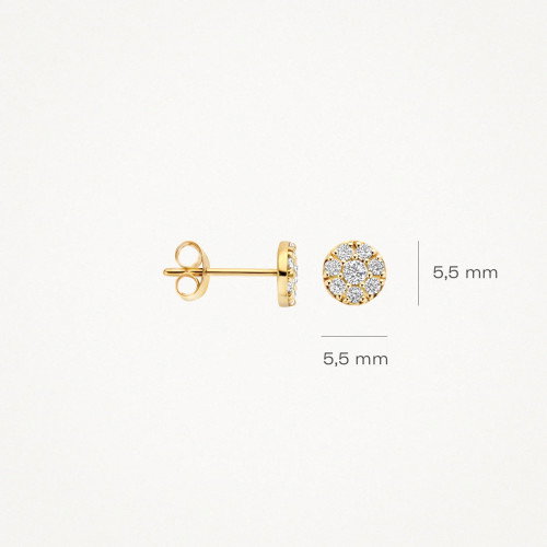 Luxoia - Blush Ohrstecker 14k Gelbgold - 7396YZI