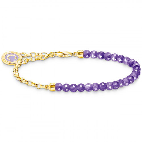 Luxoia - Thomas Sabo Member Charm Armband mit Gliedern und imitiertem Amethyst vergoldet - A2130-427-13
