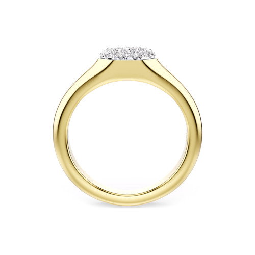 Luxoia - Swarovski Dextera Ring Verschiedene Schliffe Weiss Goldlegierungsschicht