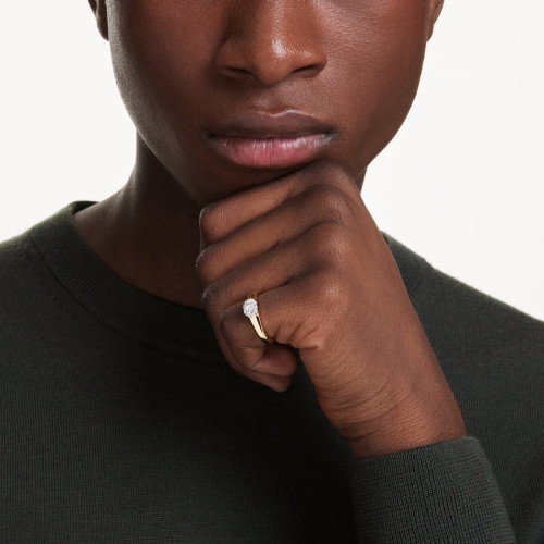 Luxoia - Swarovski Dextera Ring Verschiedene Schliffe Weiss Goldlegierungsschicht