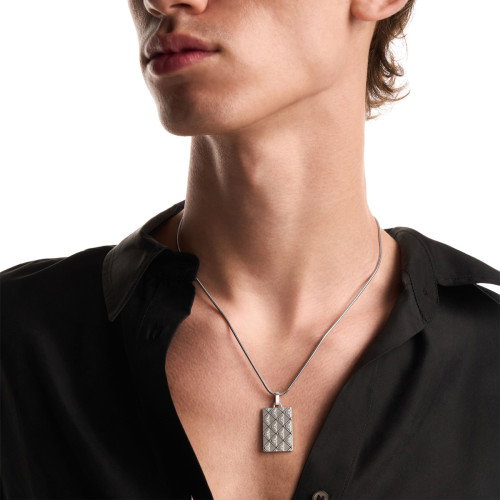Luxoia - Emporio Armani Eagle Logo Halskette - EGS3362040