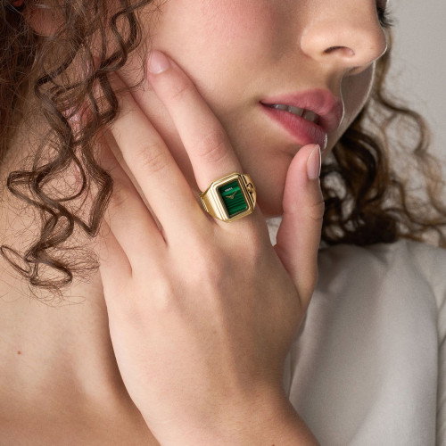 Luxoia - Fossil Raquel Watch Ring - ES5448