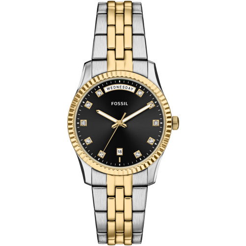 Luxoia - Fossil Scarlette - ES5458