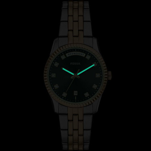 Luxoia - Fossil Scarlette - ES5458
