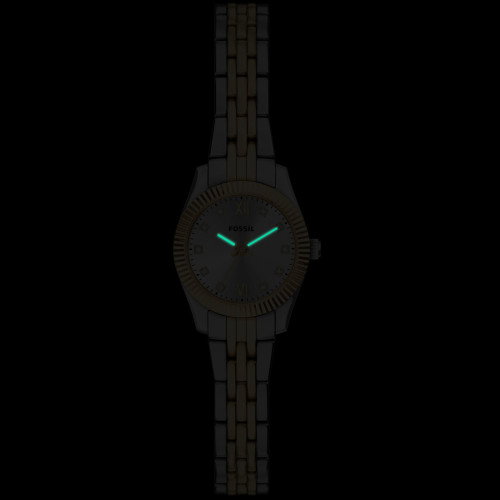 Luxoia - Fossil Scarlette Mini - ES5473