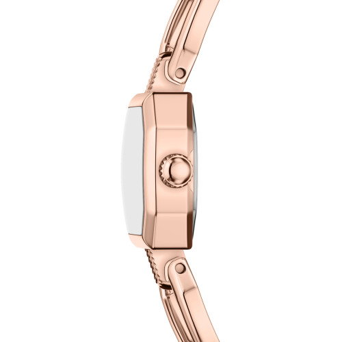 Luxoia - Fossil Harlow Mini - ES5484