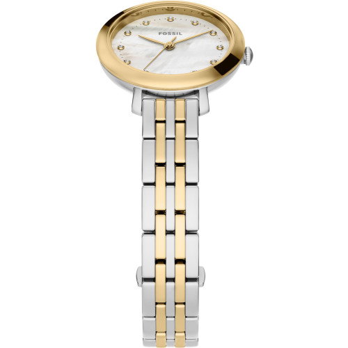 Luxoia - Fossil Jacqueline Mini - ES5500