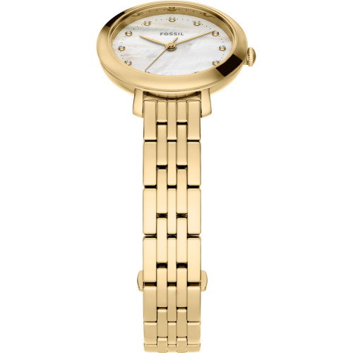 Luxoia - Fossil Heidi - ES5501