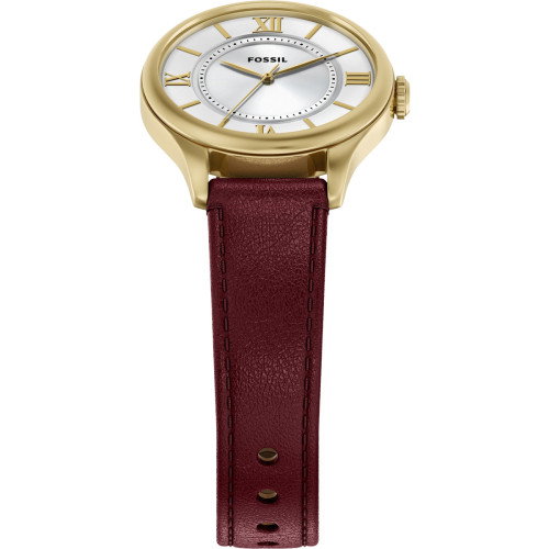 Luxoia - Fossil Gilmore - ES5510