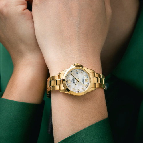 Luxoia - Festina Swiss Made - F20050/1