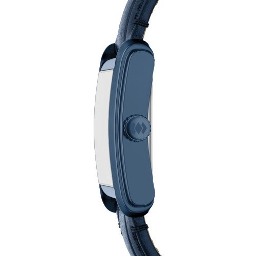 Luxoia - Fossil Carraway - FS6170