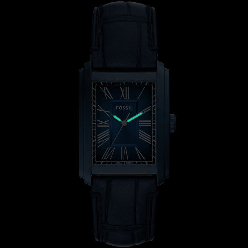 Luxoia - Fossil Carraway - FS6170