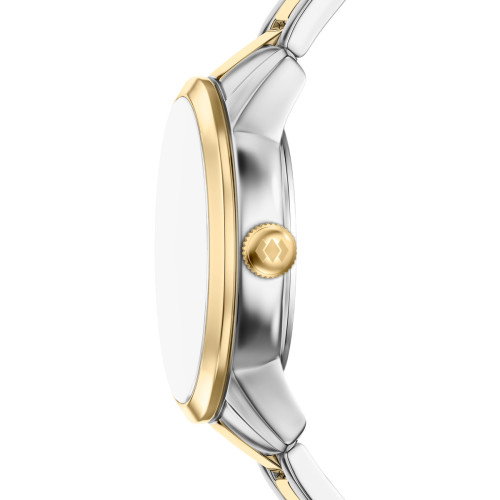 Luxoia - Fossil Townsman Big Tic - FS6193