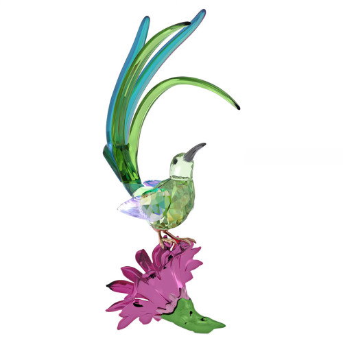 Luxoia - Swarovski Idyllia Honigfresser und Kaktusblume - 5675166