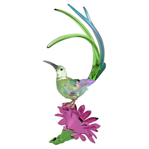 Luxoia - Swarovski Idyllia Honigfresser und Kaktusblume - 5675166