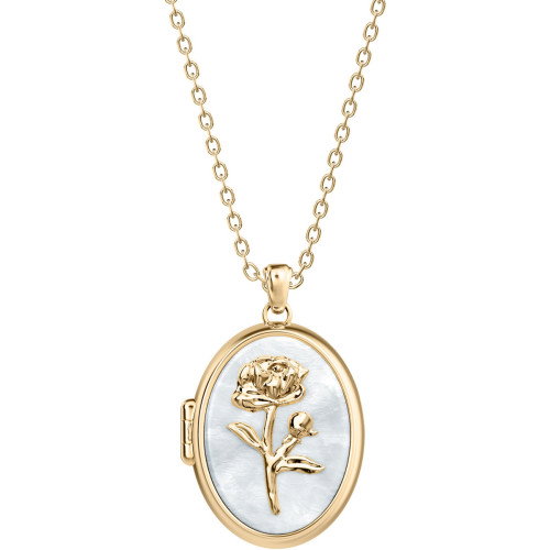 Luxoia - Fossil Sutton Halskette - JF04976710