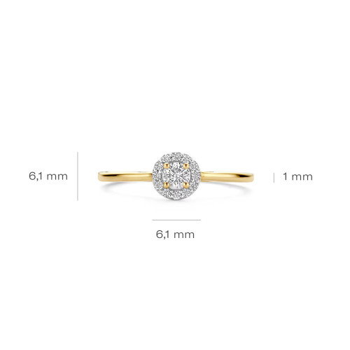 Luxoia - Blush Lab Diamonds Ring 14k Gelbgold - LG1023Y