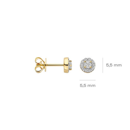 Luxoia - Blush Lab Diamonds Ohrstecker 14k Gelbgold - LG7011Y