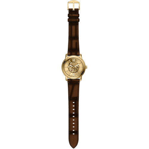 Luxoia - Fossil Heritage - ME3279