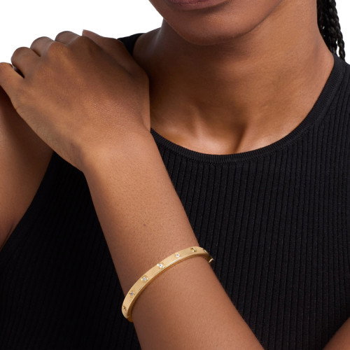 Luxoia - Michael Kors Fashion Armreif - MKJ8650710