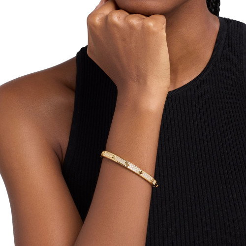 Luxoia - Michael Kors Fashion Armreif - MKJ8653710