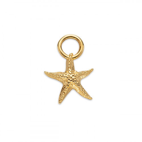 Luxoia - Paul Hewitt Starfish Charm Gold - PH-JE-0426