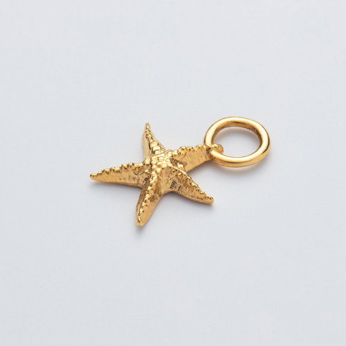Luxoia - Paul Hewitt Starfish Charm Gold - PH-JE-0426