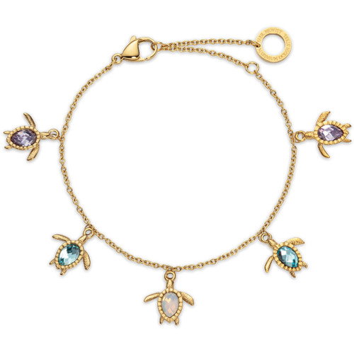 Luxoia - Paul Hewitt Turtle Rainbow Armkette - PH-JE-1260