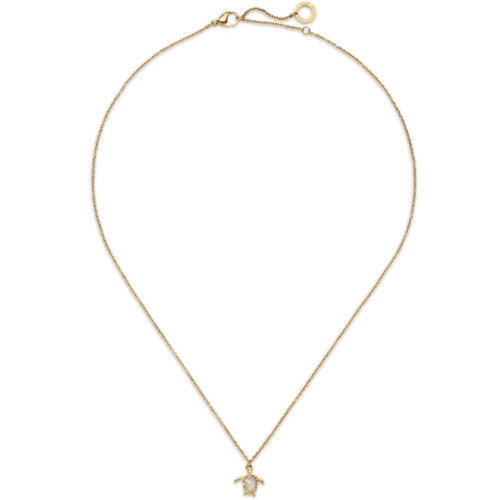 Luxoia - Paul Hewitt Turtle Mono Halskette White Breeze - PH-JE-2339