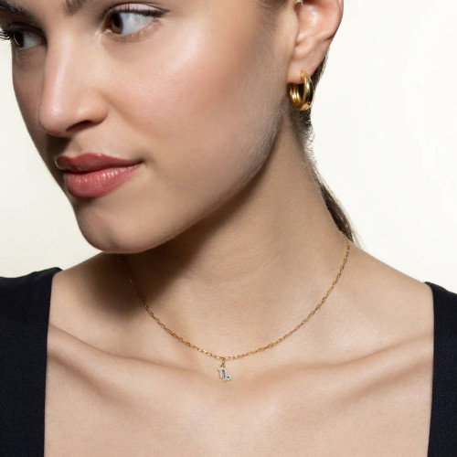 Luxoia - Xenox Steinbock Charm - XS10469G