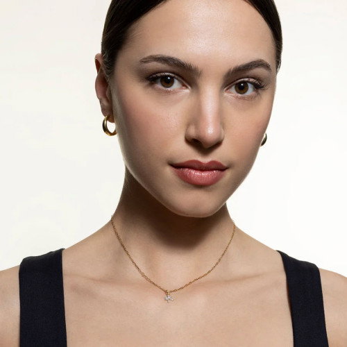 Luxoia - Xenox Fische Charm - XS10471G