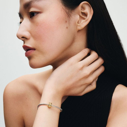 Luxoia - Pandora Liebesknoten Clip Charm - 768035C00