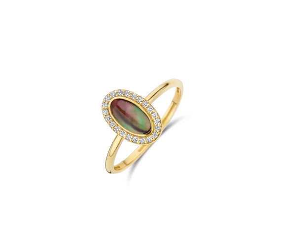 Blush Ring 14k Gelbgold - 1279YBQ