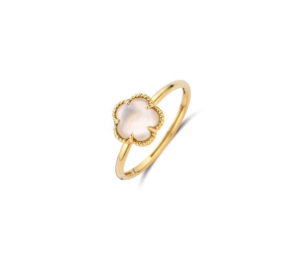 Blush Ring 14k Gelbgold - 1280YMQ