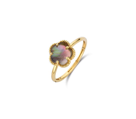 Blush Ring 14k Gelbgold - 1281YBQ