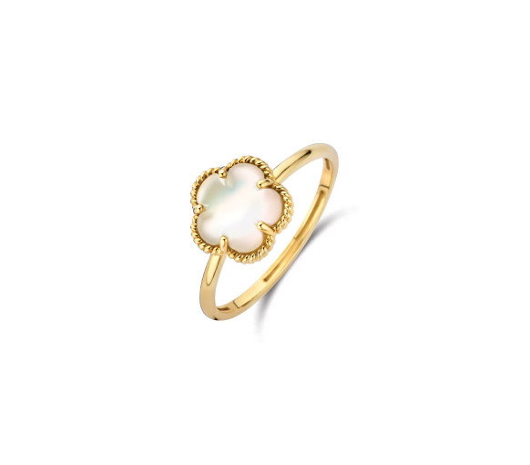 Blush Ring 14k Gelbgold - 1281YMQ